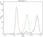 CD2AP Antibody in Flow Cytometry (Flow)