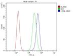 CD34 Antibody in Flow Cytometry (Flow)