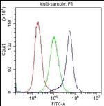 CD59 Antibody in Flow Cytometry (Flow)