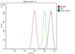 CES1 Antibody in Flow Cytometry (Flow)