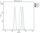 CLPP Antibody in Flow Cytometry (Flow)