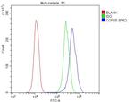 JAB1 Antibody in Flow Cytometry (Flow)