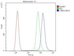 CtBP2 Antibody in Flow Cytometry (Flow)