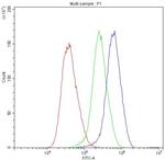 Catenin alpha-1 Antibody in Flow Cytometry (Flow)