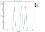 DAXX Antibody in Flow Cytometry (Flow)