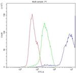 DBI Antibody in Flow Cytometry (Flow)