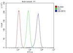 DBI Antibody in Flow Cytometry (Flow)