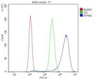 eIF4A2 Antibody in Flow Cytometry (Flow)