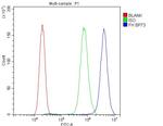 Fumarase Antibody in Flow Cytometry (Flow)