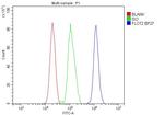 Flotillin 2 Antibody in Flow Cytometry (Flow)