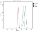 GAS6 Antibody in Flow Cytometry (Flow)