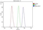 GNAQ Antibody in Flow Cytometry (Flow)