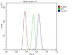 GluR2 Antibody in Flow Cytometry (Flow)