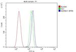 GRK2 Antibody in Flow Cytometry (Flow)