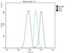 HGD Antibody in Flow Cytometry (Flow)