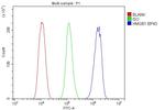 HMGB1 Antibody in Flow Cytometry (Flow)