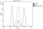 hnRNP A1 Antibody in Flow Cytometry (Flow)