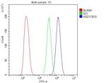 ERAB Antibody in Flow Cytometry (Flow)