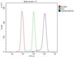 HSPA9 Antibody in Flow Cytometry (Flow)