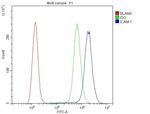 ICAM-1 (CD54) Antibody in Flow Cytometry (Flow)