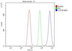 IL-18 Antibody in Flow Cytometry (Flow)