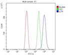 CD127 Antibody in Flow Cytometry (Flow)