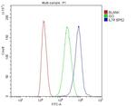 CD127 Antibody in Flow Cytometry (Flow)