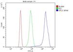 MCAK Antibody in Flow Cytometry (Flow)