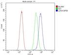 LDHA Antibody in Flow Cytometry (Flow)