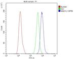 MAD1 Antibody in Flow Cytometry (Flow)