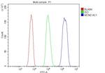 MCM2 Antibody in Flow Cytometry (Flow)