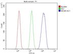 MCM3 Antibody in Flow Cytometry (Flow)