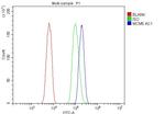 MCM5 Antibody in Flow Cytometry (Flow)