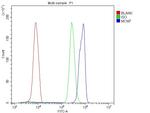 MCM7 Antibody in Flow Cytometry (Flow)