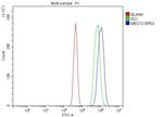 MED13 Antibody in Flow Cytometry (Flow)