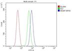 MGMT Antibody in Flow Cytometry (Flow)