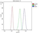 MSH2 Antibody in Flow Cytometry (Flow)