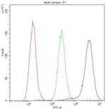 NFATC1 Antibody in Flow Cytometry (Flow)