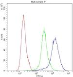 NFATC1 Antibody in Flow Cytometry (Flow)