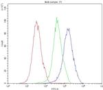 NFATC1 Antibody in Flow Cytometry (Flow)