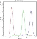 NFATC1 Antibody in Flow Cytometry (Flow)