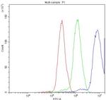 NFATC3 Antibody in Flow Cytometry (Flow)