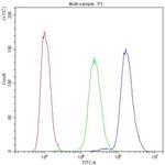 NFATC3 Antibody in Flow Cytometry (Flow)