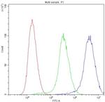 NME1 Antibody in Flow Cytometry (Flow)