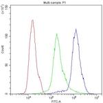 NME1 Antibody in Flow Cytometry (Flow)