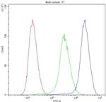 NME1 Antibody in Flow Cytometry (Flow)