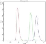 PDE4D Antibody in Flow Cytometry (Flow)