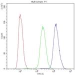 PDE4D Antibody in Flow Cytometry (Flow)