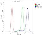 Profilin 2 Antibody in Flow Cytometry (Flow)