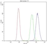 PNP Antibody in Flow Cytometry (Flow)